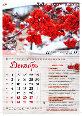 «Пермский институт повышения квалификации работников здравоохранения»