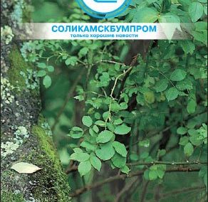 ОАО «Соликамскбумпром»