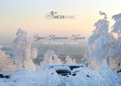 ПАО «Метафракс»