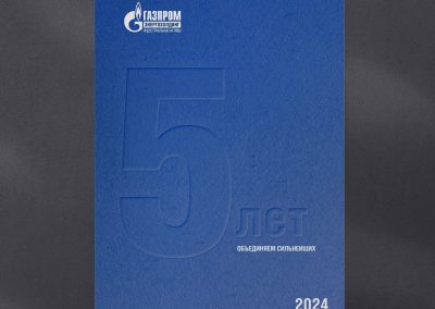 ООО «Газпром энергохолдинг индустриальные активы»