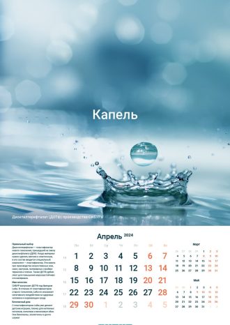 Skimen Studio