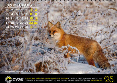 АО «СУЭК»