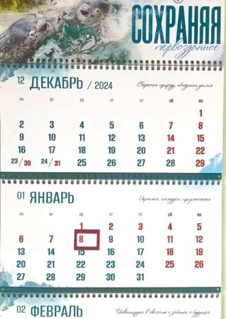 АО «Восточный Порт»
