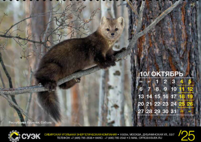АО «СУЭК»
