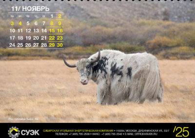 АО «СУЭК»