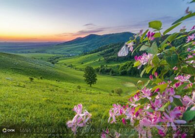 АО «СУЭК»