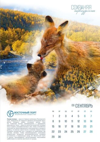 АО «Восточный Порт»
