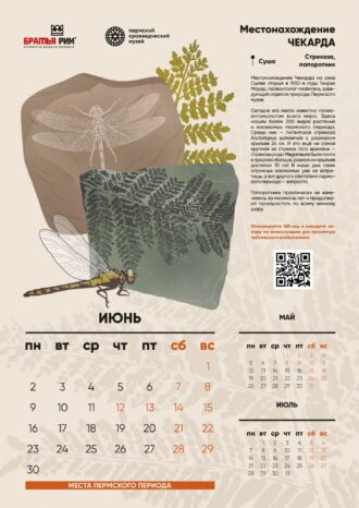 ООО «Братья Рим»