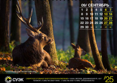 АО «СУЭК»
