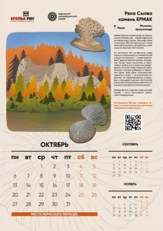 ООО «Братья Рим»