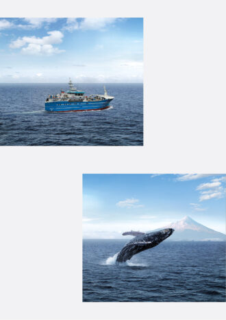 ФАУ «Российский морской регистр судоходства»