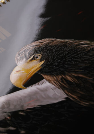 АО «Курганмашзавод»