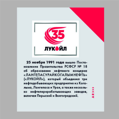 ООО «ЛУКОЙЛ-Нижегороднефтеоргсинтез»