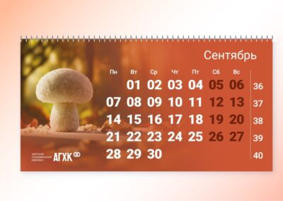 Брендинговое агентство «СТУДИЯ БЕЛКИ»