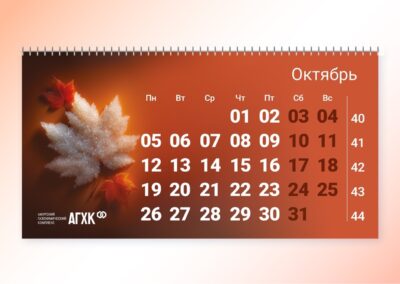 Брендинговое агентство «СТУДИЯ БЕЛКИ»