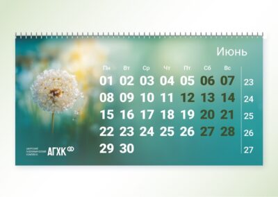 Брендинговое агентство «СТУДИЯ БЕЛКИ»