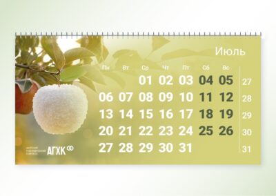 Брендинговое агентство «СТУДИЯ БЕЛКИ»