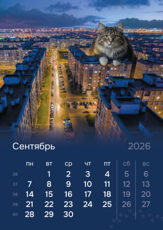 СПб ГБУ «Ленсвет»