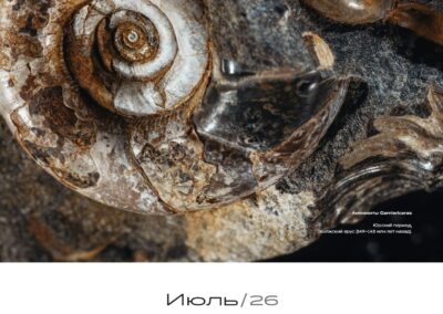 Поздравляем первого победителя!