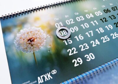 Брендинговое агентство «СТУДИЯ БЕЛКИ»