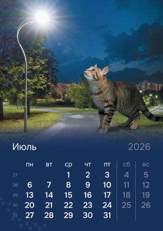 СПб ГБУ «Ленсвет»