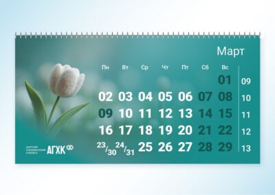 Брендинговое агентство «СТУДИЯ БЕЛКИ»