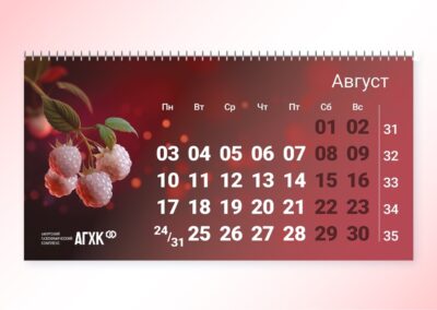 Брендинговое агентство «СТУДИЯ БЕЛКИ»