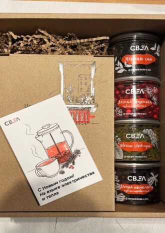 Группа «СВЭЛ»