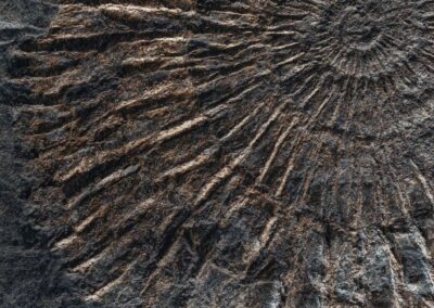 Поздравляем первого победителя!