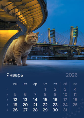 СПб ГБУ «Ленсвет»