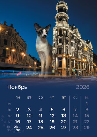 СПб ГБУ «Ленсвет»