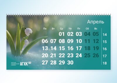 Брендинговое агентство «СТУДИЯ БЕЛКИ»