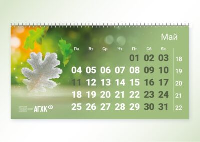 Брендинговое агентство «СТУДИЯ БЕЛКИ»